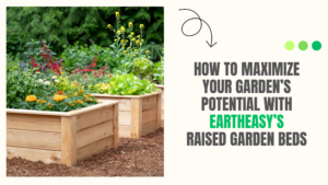 Raised Garden Beds