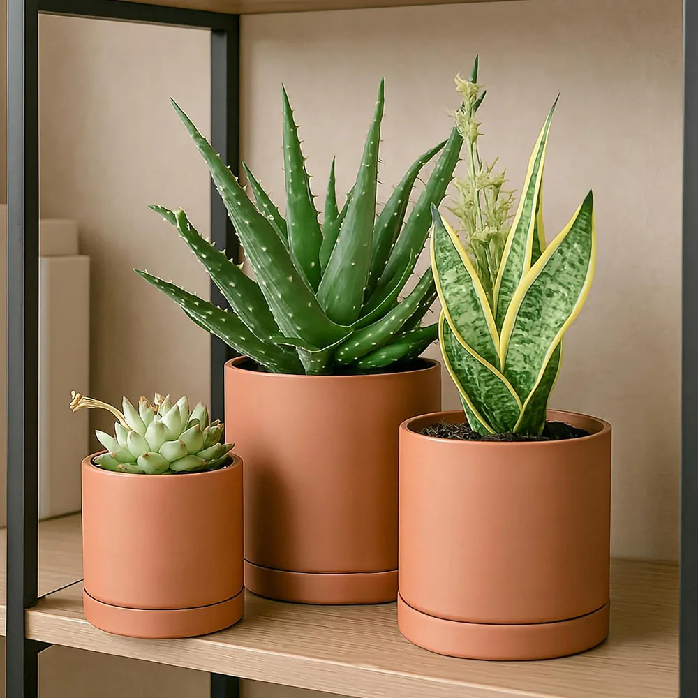 Mexican bedroom ideas
